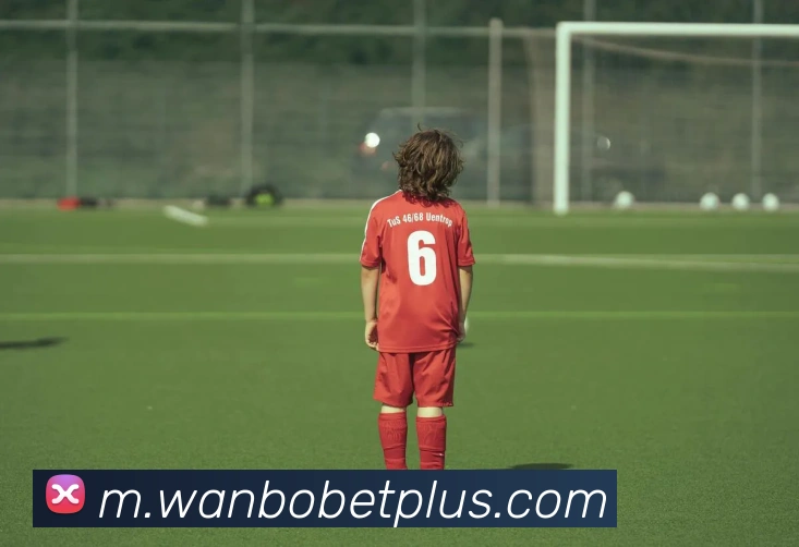 万博体育平台生态图