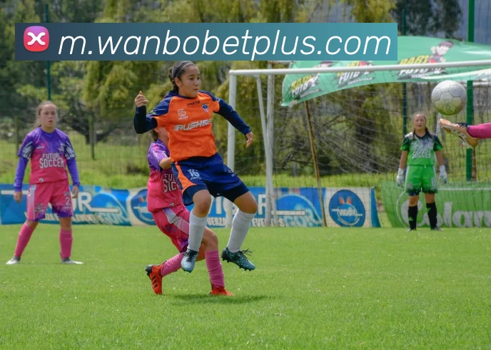 万博体育APP 封面图